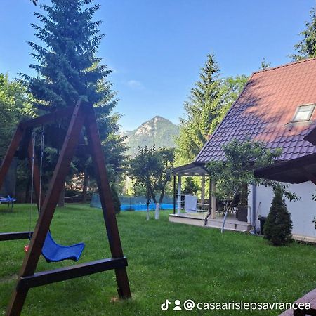 فندق Casa Aris Lepsa Vrancea المظهر الخارجي الصورة