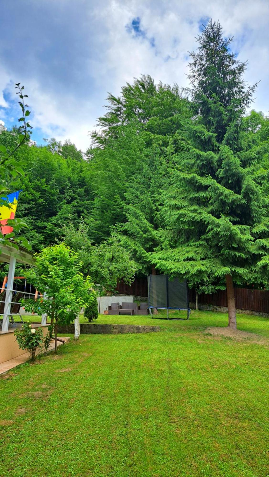 فندق Casa Aris Lepsa Vrancea المظهر الخارجي الصورة