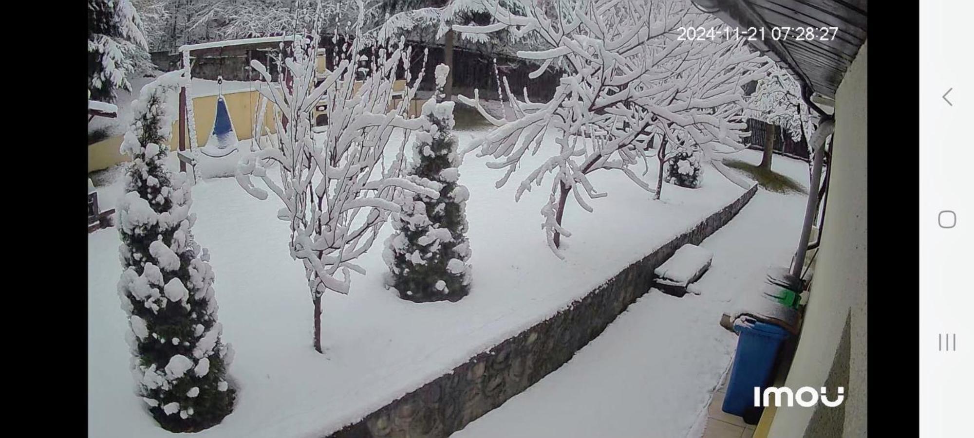 فندق Casa Aris Lepsa Vrancea المظهر الخارجي الصورة