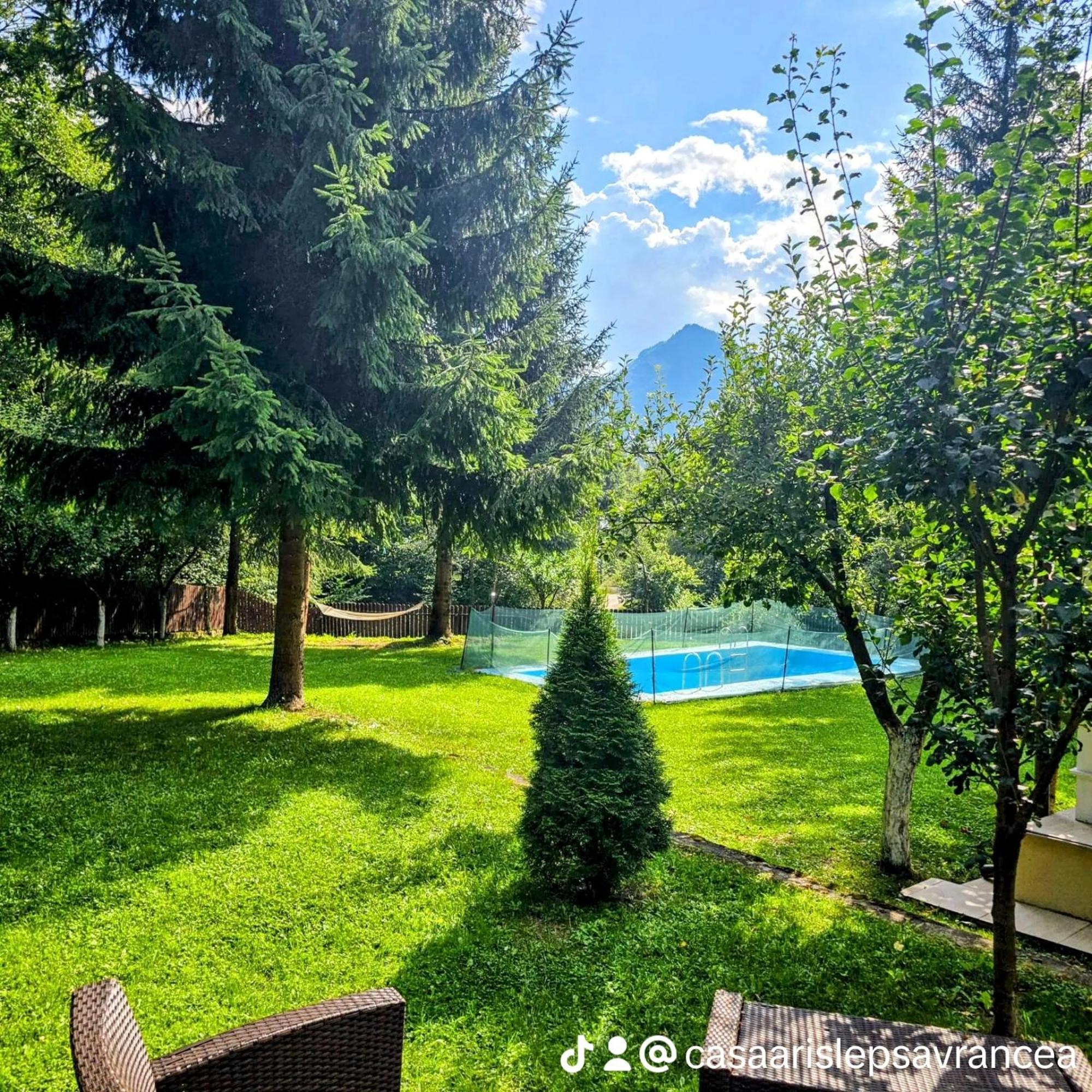 فندق Casa Aris Lepsa Vrancea المظهر الخارجي الصورة